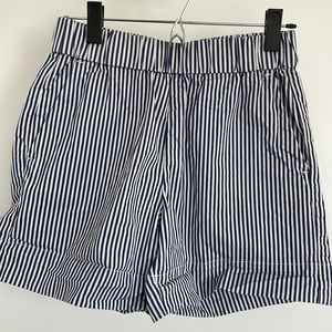Everlane Chino Striped Shorts